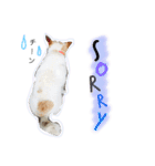 ドンとカイト（個別スタンプ：1）