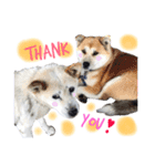 ドンとカイト（個別スタンプ：10）
