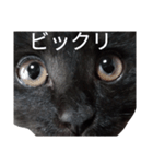 飯塚さんちのもずく’（個別スタンプ：22）