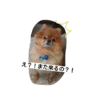 悠真と七海（個別スタンプ：31）