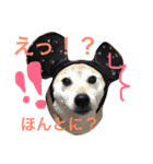 柴もも（個別スタンプ：13）