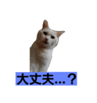 にゃーーーー！2（個別スタンプ：6）