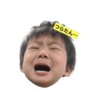 大好き瞬ちゃんのスタンプ（個別スタンプ：12）