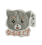 チワワのこてしゃん（個別スタンプ：10）
