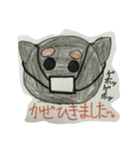 チワワのこてしゃん（個別スタンプ：13）