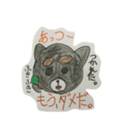 チワワのこてしゃん（個別スタンプ：14）