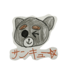 チワワのこてしゃん（個別スタンプ：15）