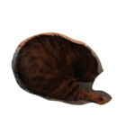 猫のはなこさん（個別スタンプ：6）
