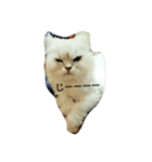 ねこ と（個別スタンプ：5）