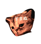 ねこ と（個別スタンプ：12）