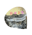 好きなものだけ（個別スタンプ：3）