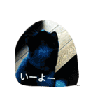 好きなものだけ（個別スタンプ：8）
