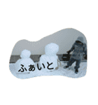 好きなものだけ（個別スタンプ：12）