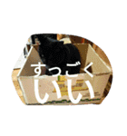 好きなものだけ（個別スタンプ：14）