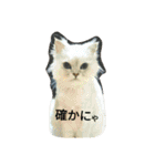 好きなものだけ（個別スタンプ：17）