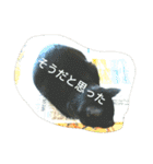 好きなものだけ（個別スタンプ：19）