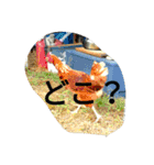 好きなものだけ（個別スタンプ：20）