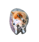好きなものだけ（個別スタンプ：22）