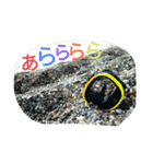 好きなものだけ（個別スタンプ：23）