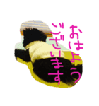 DOGDA（個別スタンプ：3）