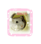 舞鶴弁 ハムスター（個別スタンプ：1）