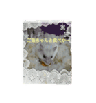 舞鶴弁 ハムスター（個別スタンプ：5）