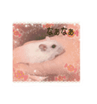 舞鶴弁 ハムスター（個別スタンプ：7）