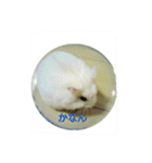 舞鶴弁 ハムスター（個別スタンプ：13）