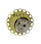 舞鶴弁 ハムスター（個別スタンプ：14）