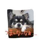 Jango（個別スタンプ：5）