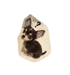 Jango（個別スタンプ：8）