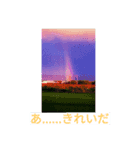 The 景色（個別スタンプ：1）