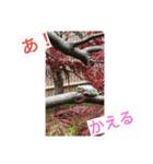 The 景色（個別スタンプ：3）