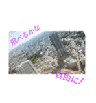 The 景色（個別スタンプ：8）