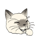 ぼくじゅーねこ（個別スタンプ：4）