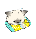 ぼくじゅーねこ（個別スタンプ：7）