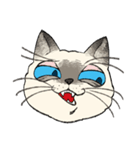 ぼくじゅーねこ（個別スタンプ：13）