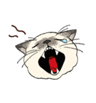 ぼくじゅーねこ（個別スタンプ：14）