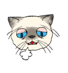 ぼくじゅーねこ（個別スタンプ：15）