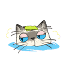 ぼくじゅーねこ（個別スタンプ：16）