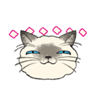 ぼくじゅーねこ（個別スタンプ：20）