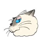 ぼくじゅーねこ（個別スタンプ：22）