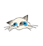 ぼくじゅーねこ（個別スタンプ：23）