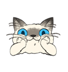ぼくじゅーねこ（個別スタンプ：24）