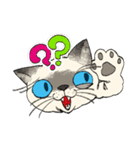 ぼくじゅーねこ（個別スタンプ：30）