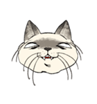 ぼくじゅーねこ（個別スタンプ：31）
