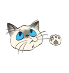 ぼくじゅーねこ（個別スタンプ：33）
