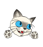 ぼくじゅーねこ（個別スタンプ：36）