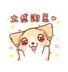 Corgi Dog Kaka - Daily Life vol.2（個別スタンプ：2）