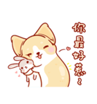 Corgi Dog Kaka - Daily Life vol.2（個別スタンプ：3）